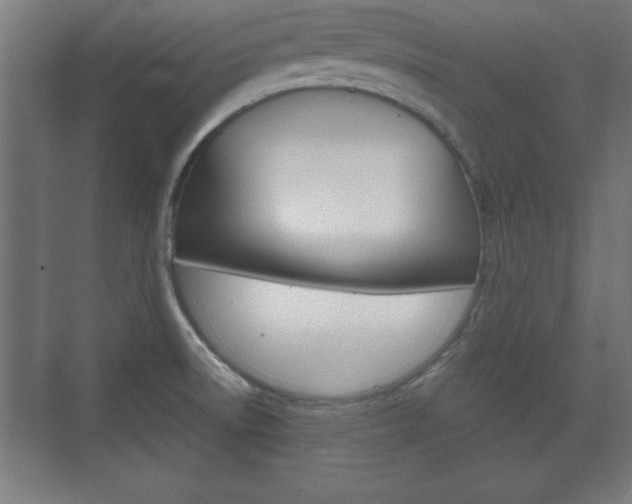 X0000075831522200609150833