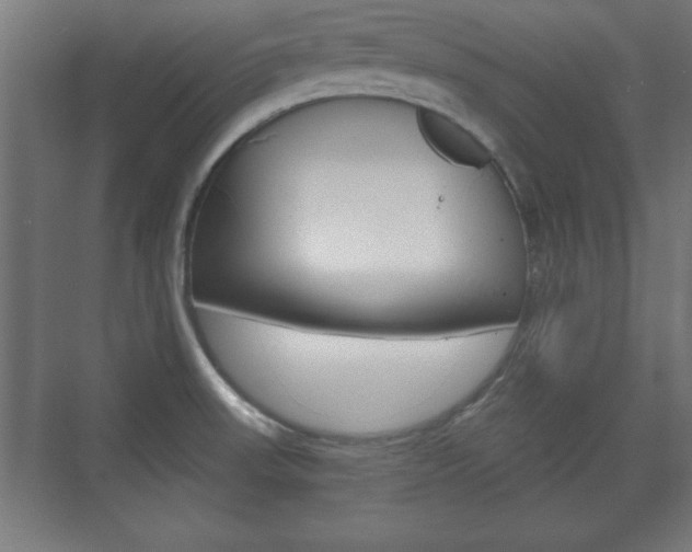 X0000075831523200609150833