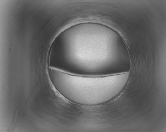 X0000075831534200609150833