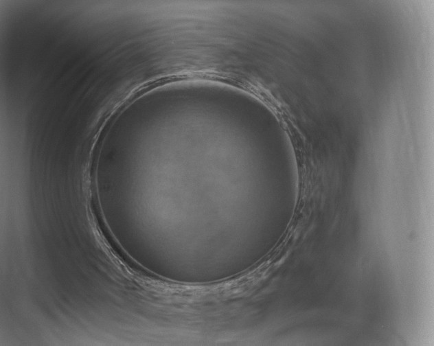 X0000075830002200609151250