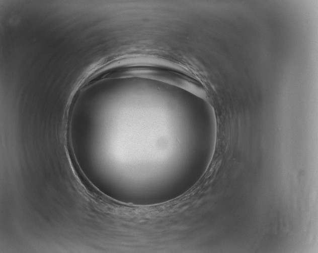 X0000075830003200609151250