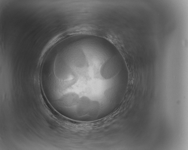 X0000075830004200609151250