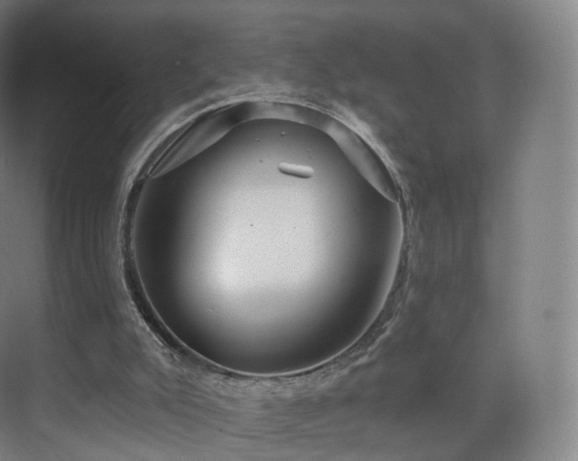 X0000075830007200609151250