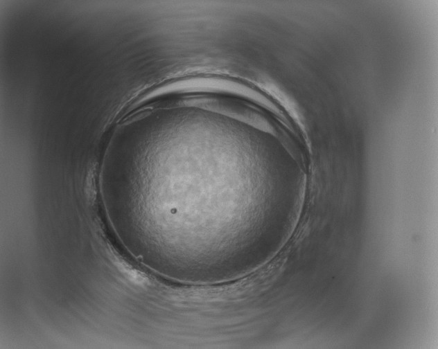 X0000075830009200609151250