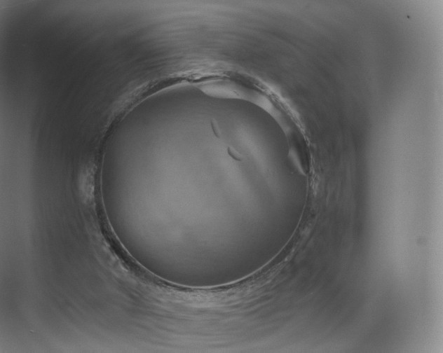 X0000075830010200609151250