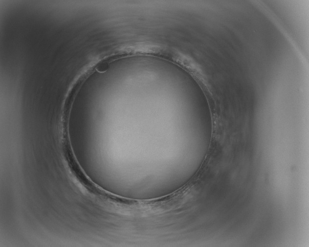 X0000075830012200609151250