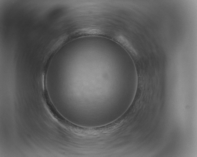 X0000075830014200609151250