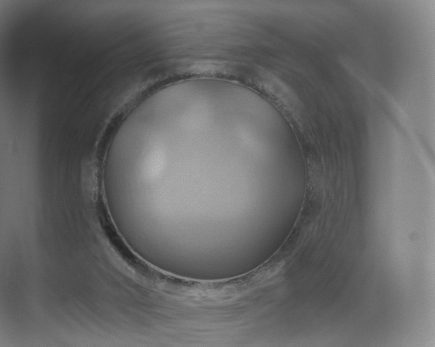 X0000075830016200609151250