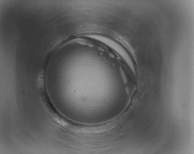 X0000075830017200609151250