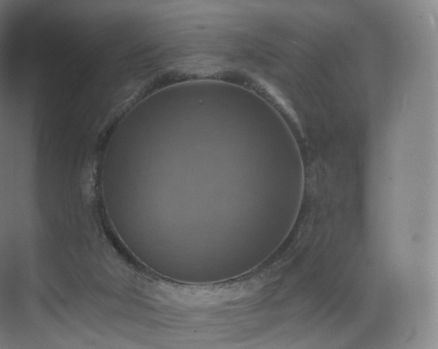 X0000075830018200609151250