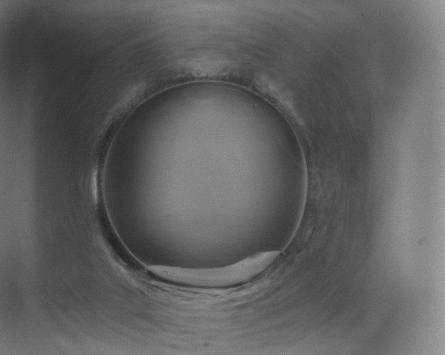 X0000075830019200609151250