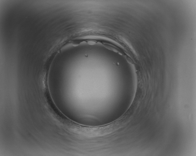 X0000075830023200609151250