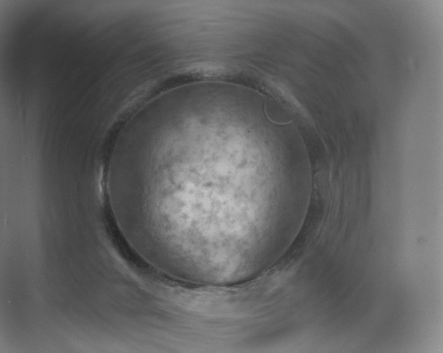 X0000075830024200609151250