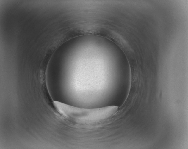 X0000075830025200609151250