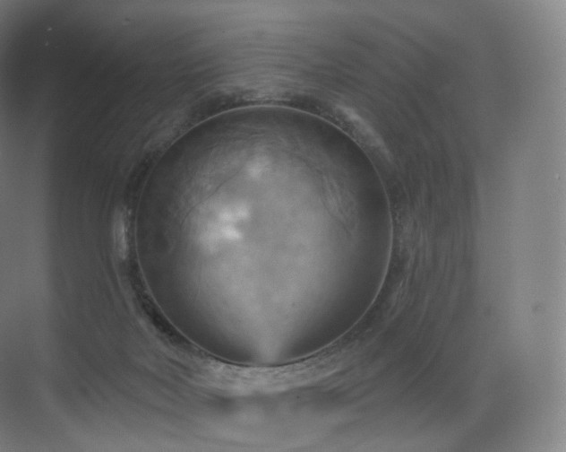 X0000075830026200609151250