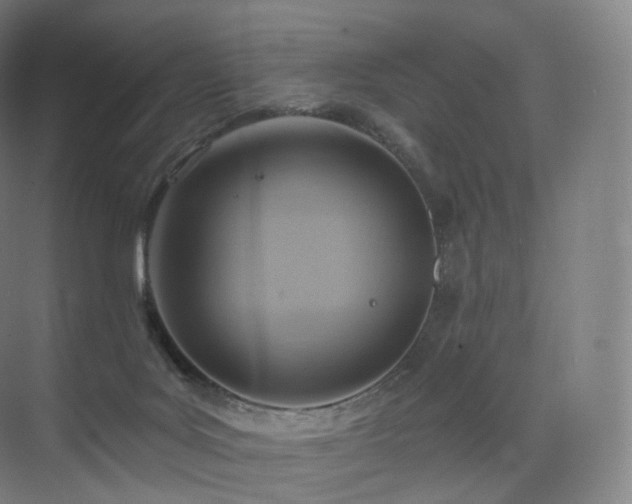 X0000075830027200609151250