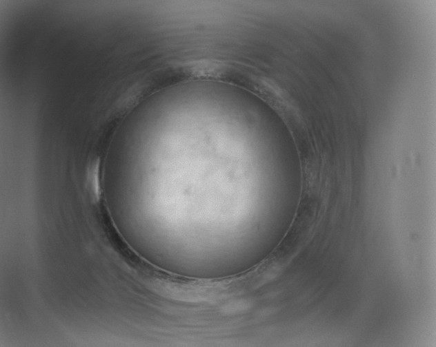 X0000075830028200609151250