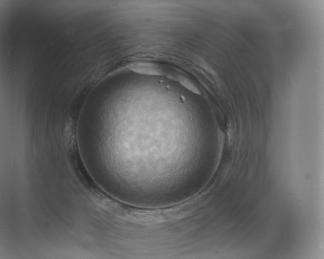 X0000075830029200609151250