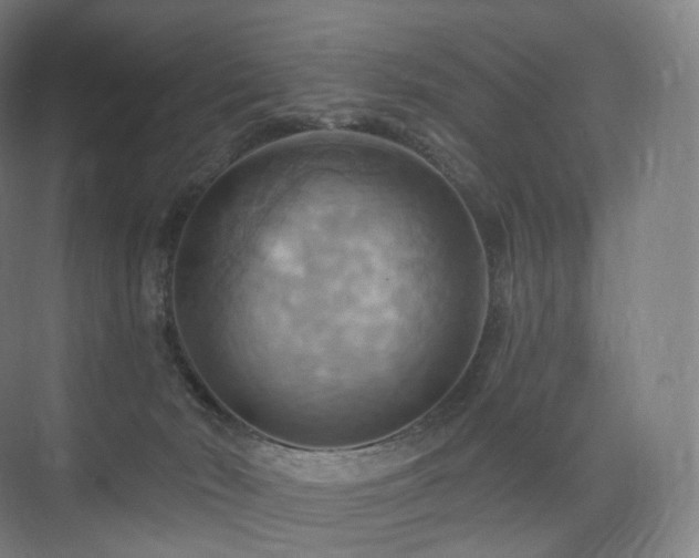 X0000075830030200609151250