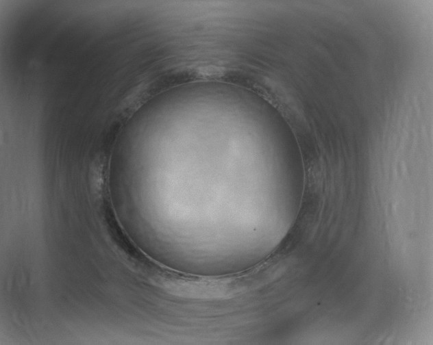 X0000075830032200609151250