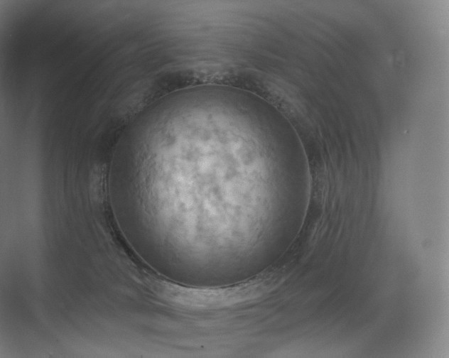 X0000075830034200609151250