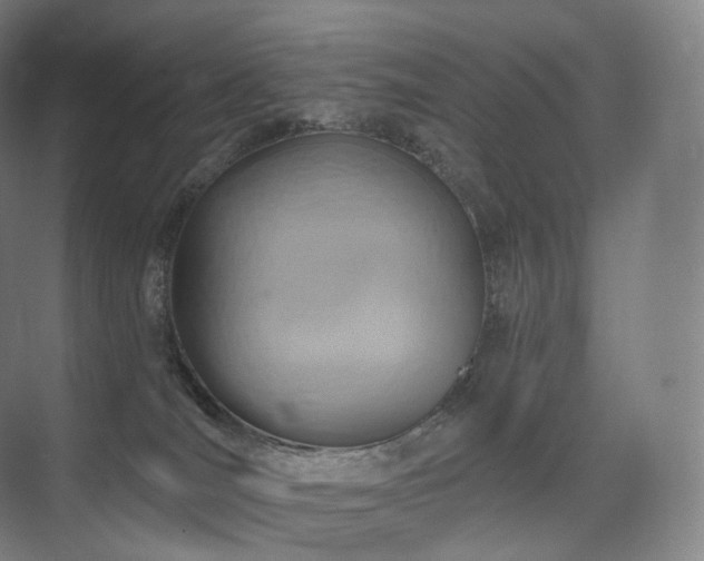 X0000075830036200609151250