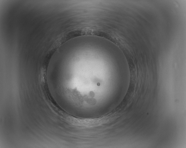 X0000075830038200609151250