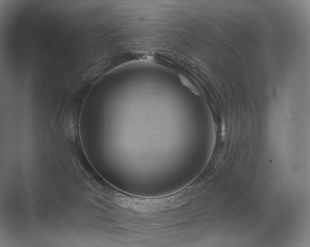 X0000075830039200609151250