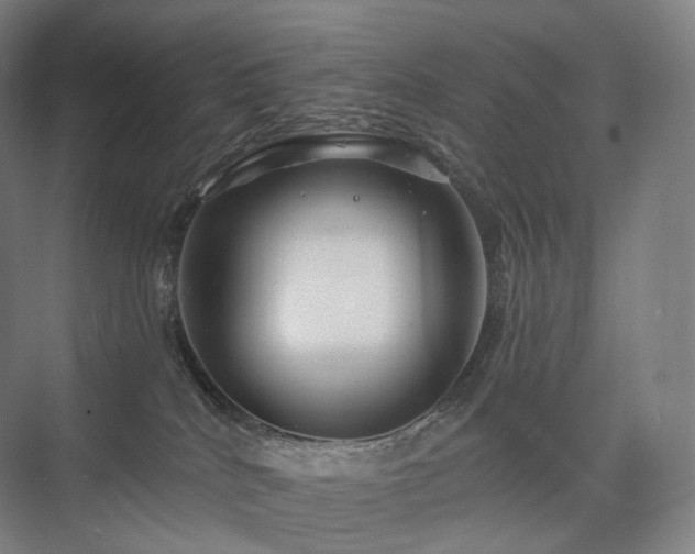 X0000075830040200609151250