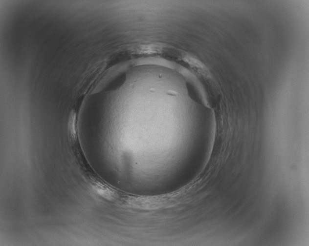 X0000075830041200609151250