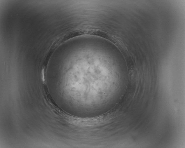 X0000075830042200609151250