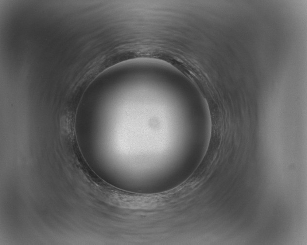 X0000075830044200609151250