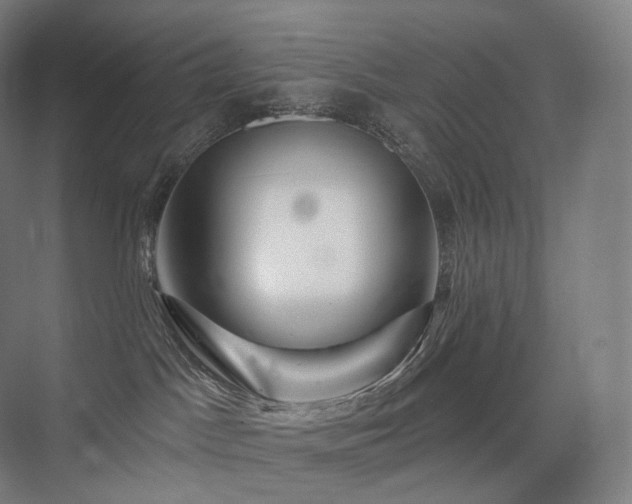 X0000075830045200609151250