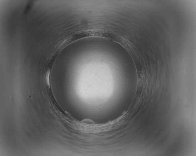 X0000075830047200609151250