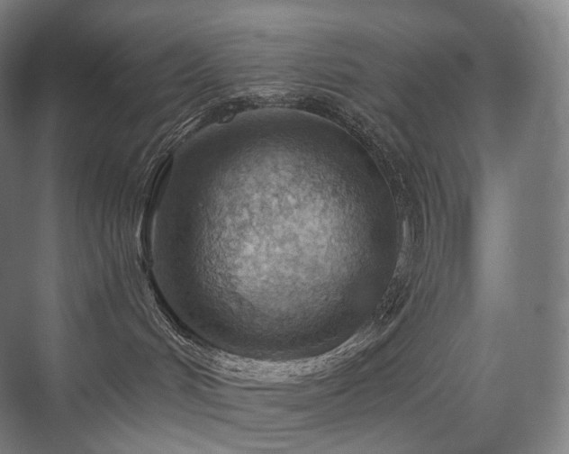 X0000075830048200609151250