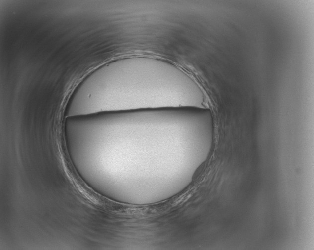 X0000075830049200609151249