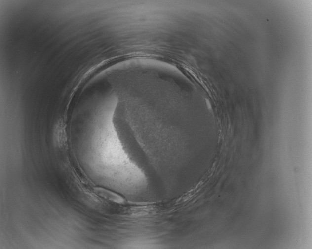 X0000075830050200609151249