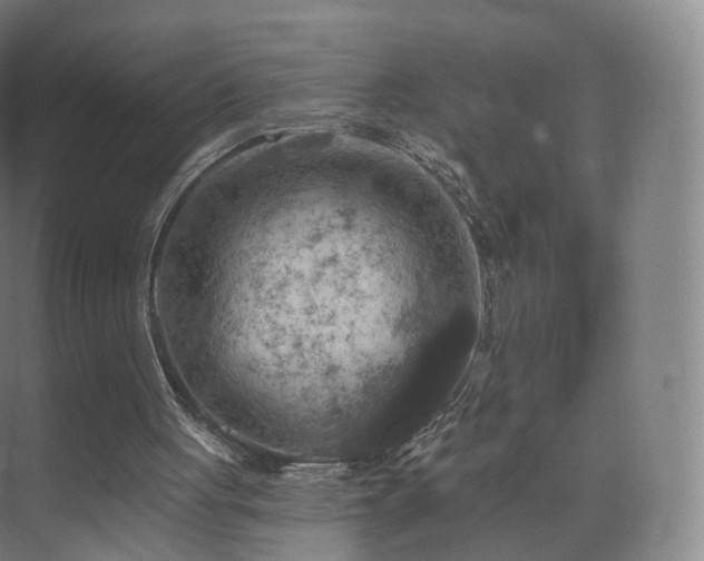 X0000075830051200609151249