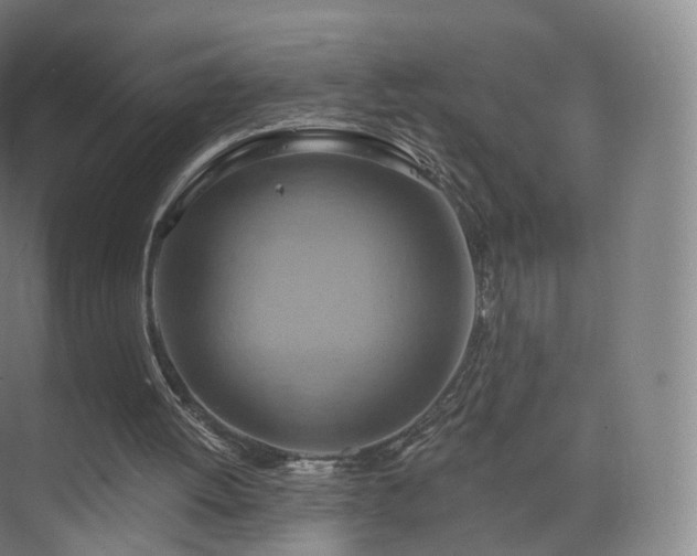 X0000075830052200609151249