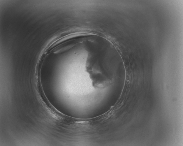 X0000075830053200609151249