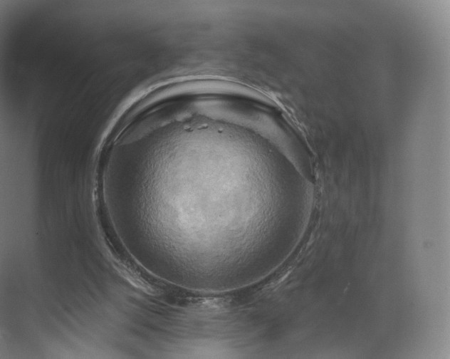 X0000075830056200609151249