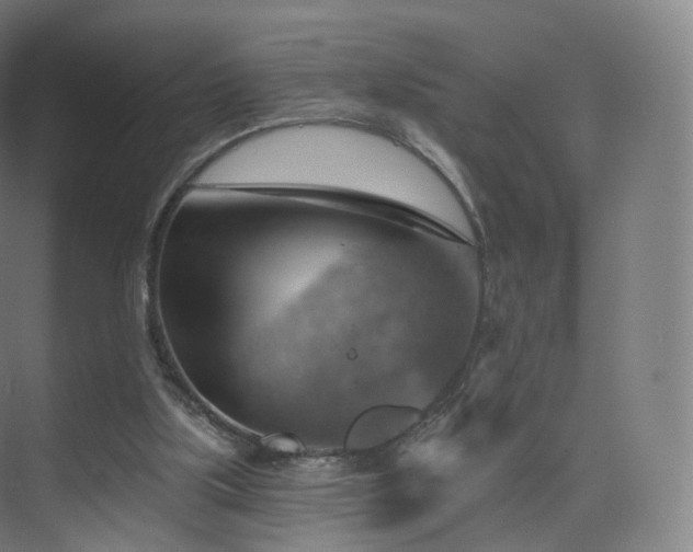 X0000075830059200609151249