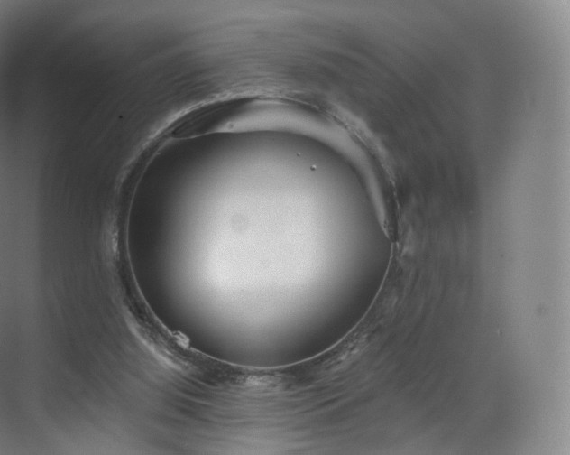 X0000075830060200609151249