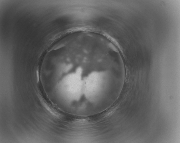 X0000075830061200609151249