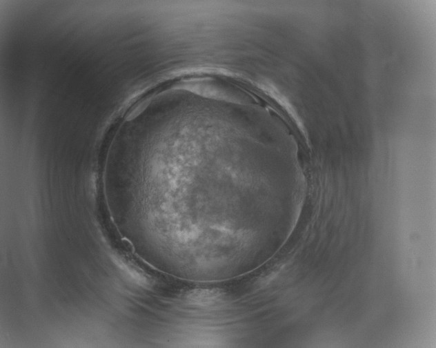 X0000075830063200609151249