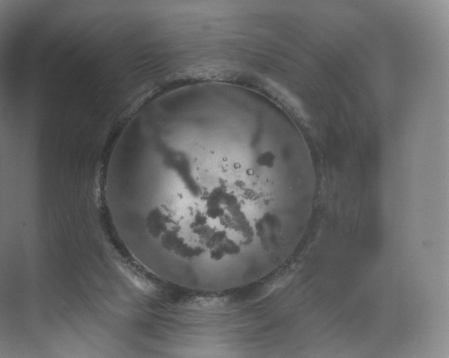 X0000075830065200609151249