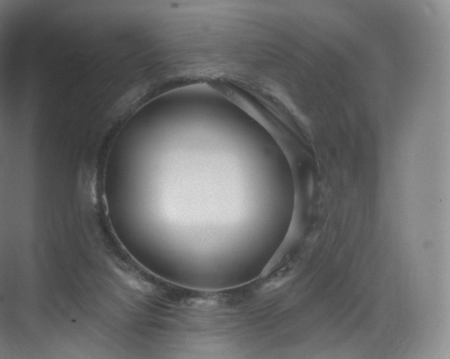 X0000075830068200609151249