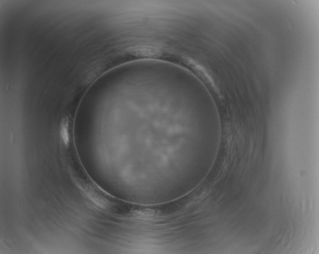 X0000075830069200609151249