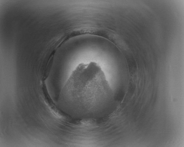 X0000075830070200609151249