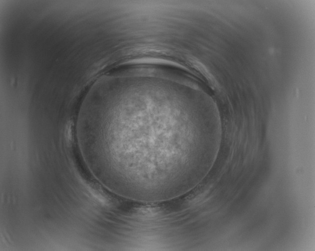 X0000075830071200609151249